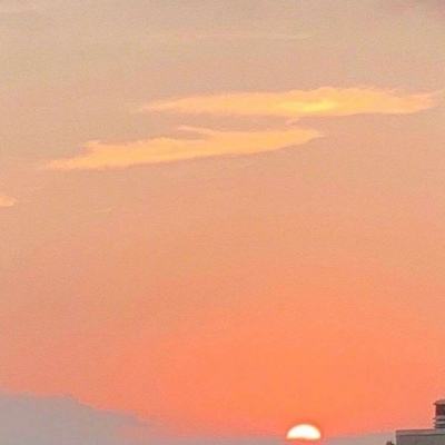 放置海岛果盘版下载